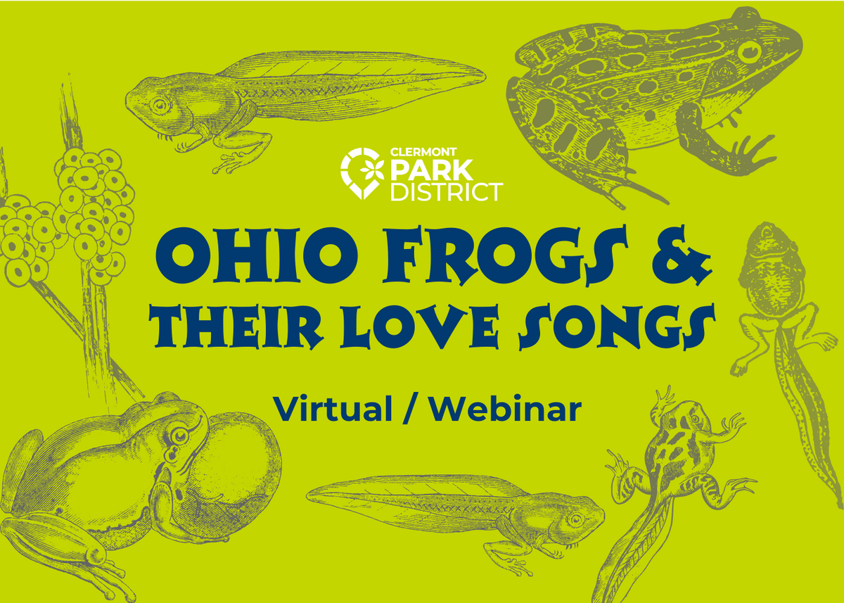 Bright green background surrounded by sketched images of frogs and tadpoles